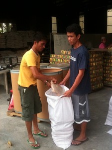 Workers Packing Soy Meals for Further Distribution